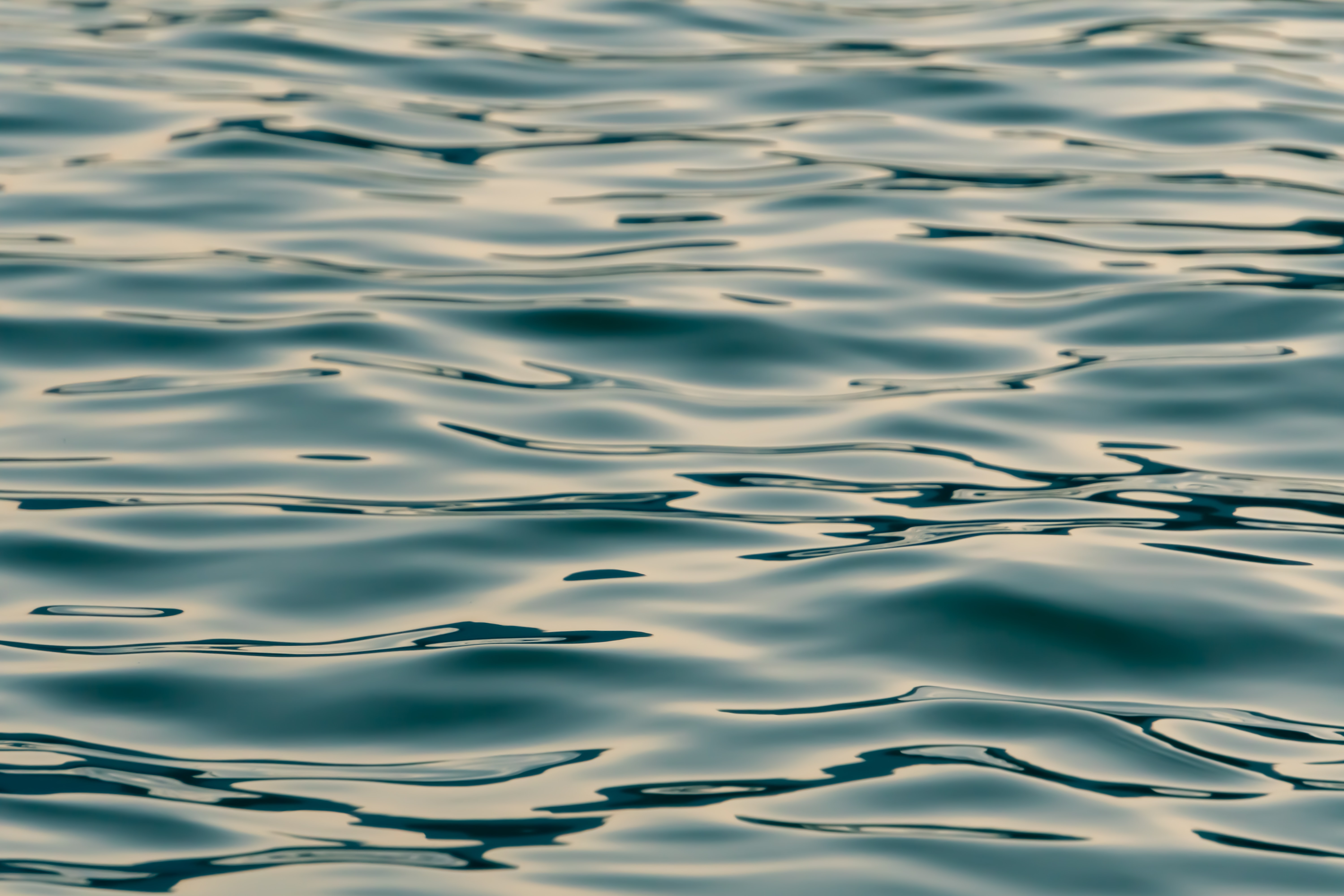 Geoffrey Baumbach Gzhaf9okwu0 Unsplash