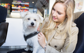 Lady with dog